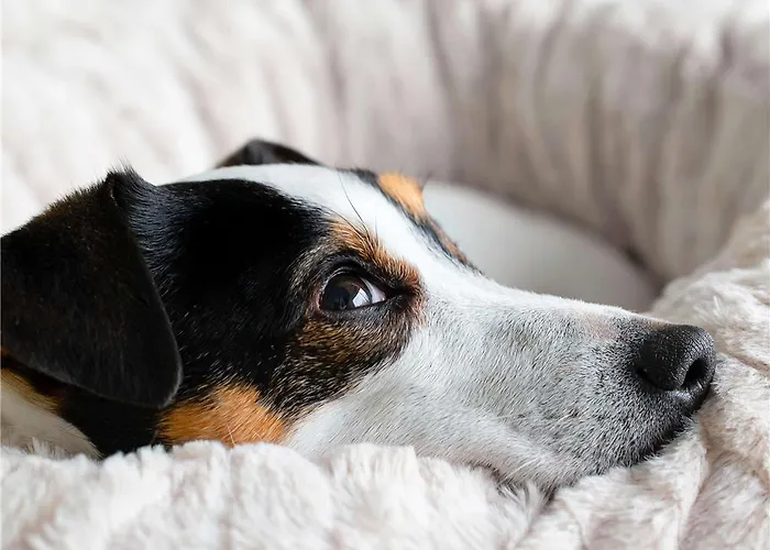 Hotel Ibis Budget Nantes Nord Herblain 2*